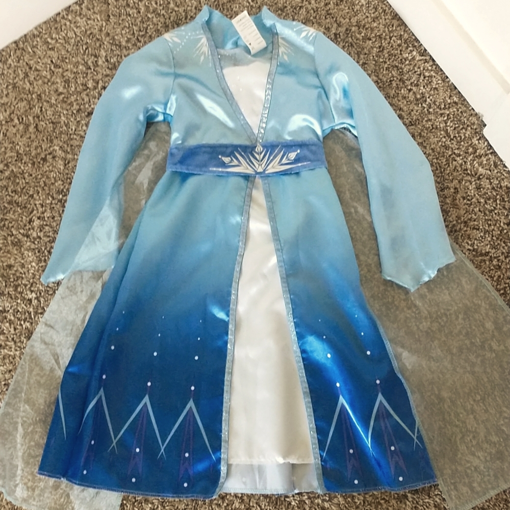 Disney Elsa dress
